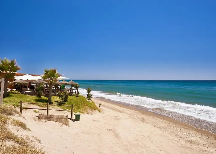 公寓 Oleholidays 616 Romana Playa Junto Al Mar 马尔韦利亚